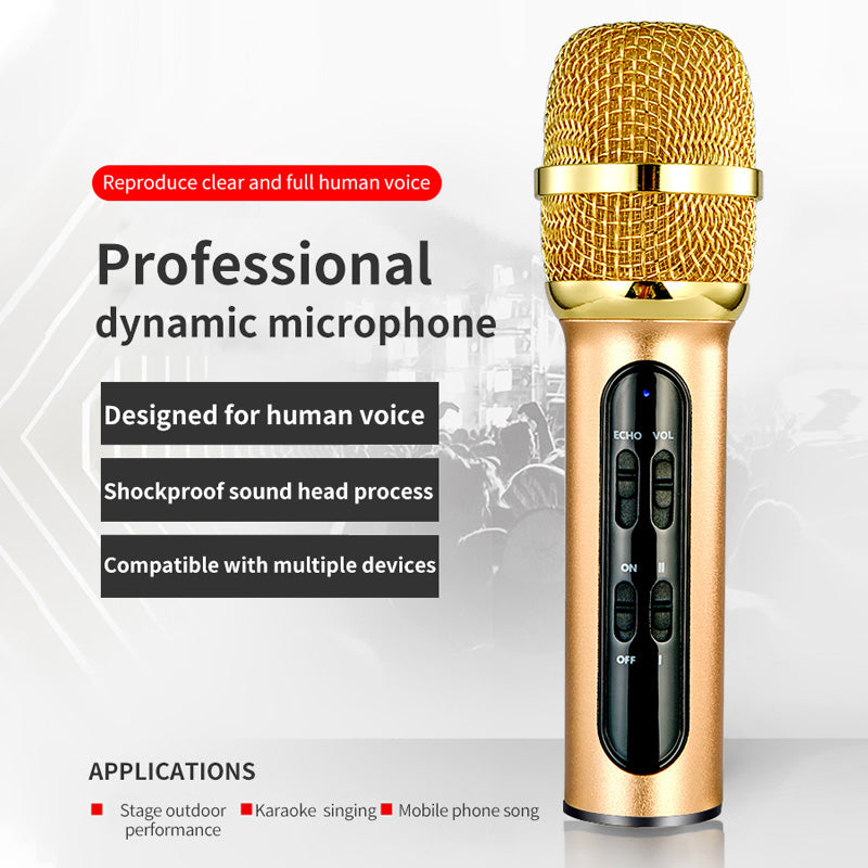 karaoke microphone