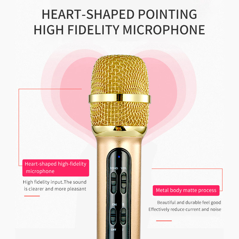 karaoke microphone