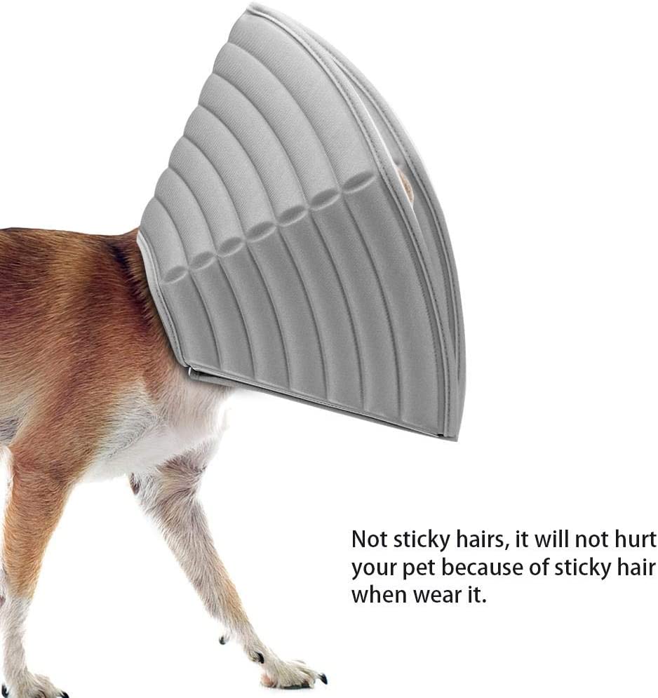 dog cone