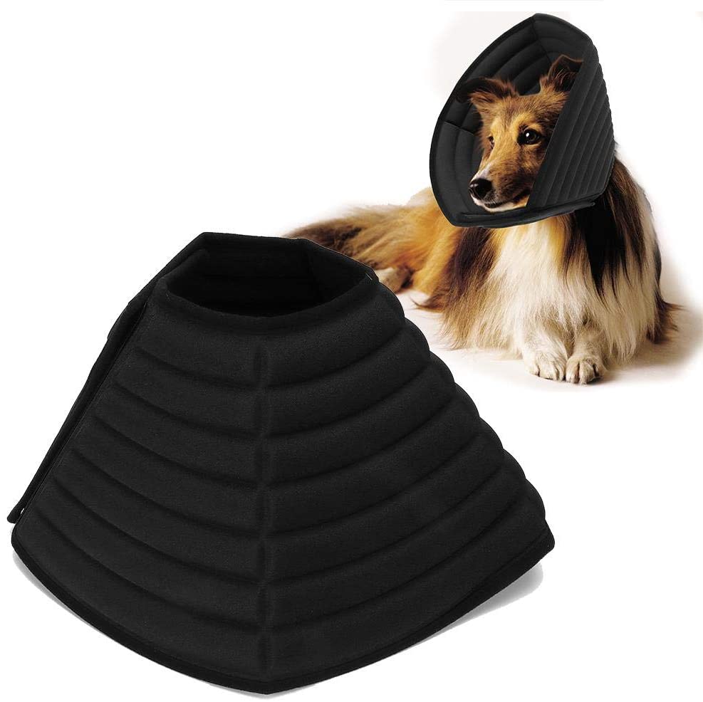 dog cone