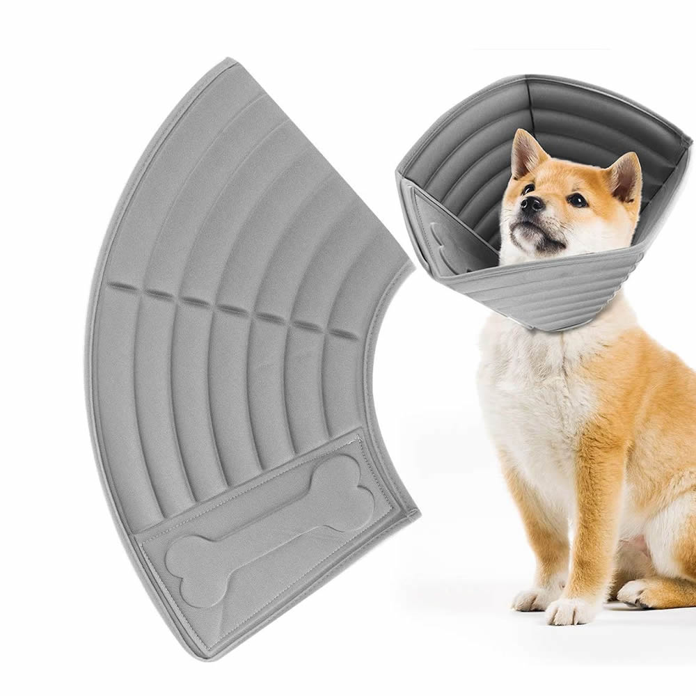 dog cone