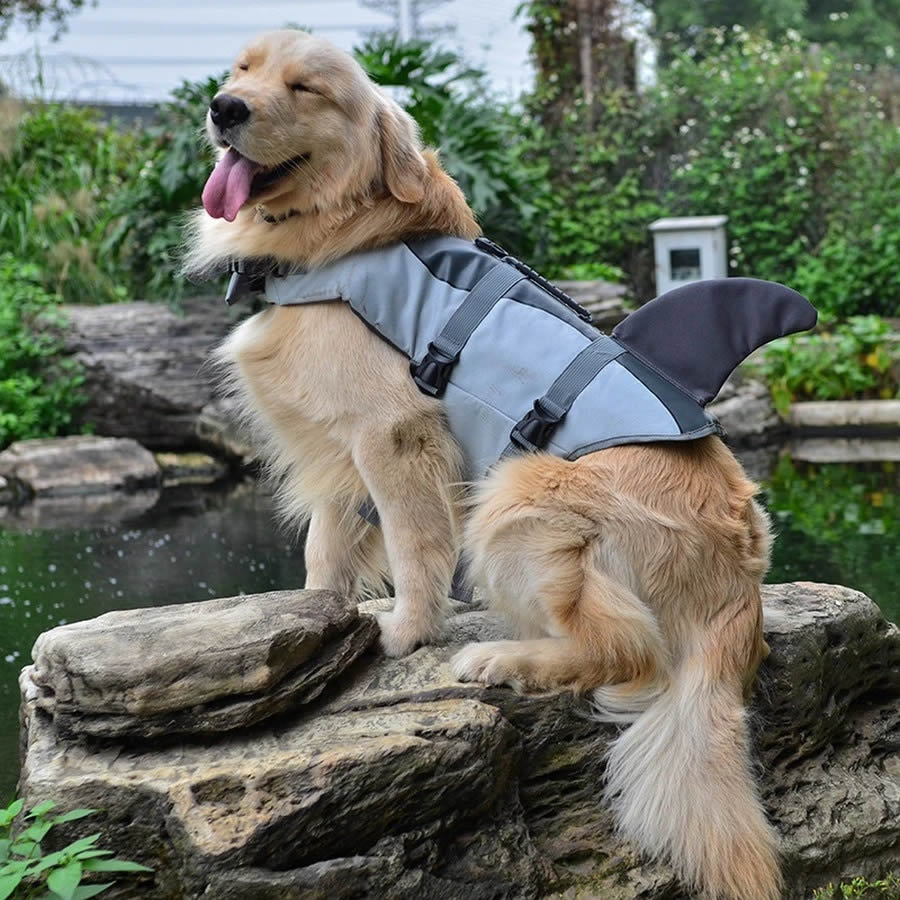 Dog Life Jacket