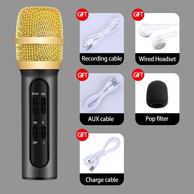 Karaoke Condenser Microphone Handheld Portable Recording Microphone Sing Live Wired Mic with ECHO Sound Card Compatible Phone, Computer for Party