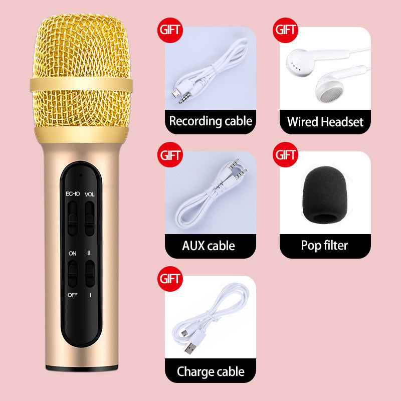 Karaoke Condenser Microphone Handheld Portable Recording Microphone Sing Live Wired Mic with ECHO Sound Card Compatible Phone, Computer for Party