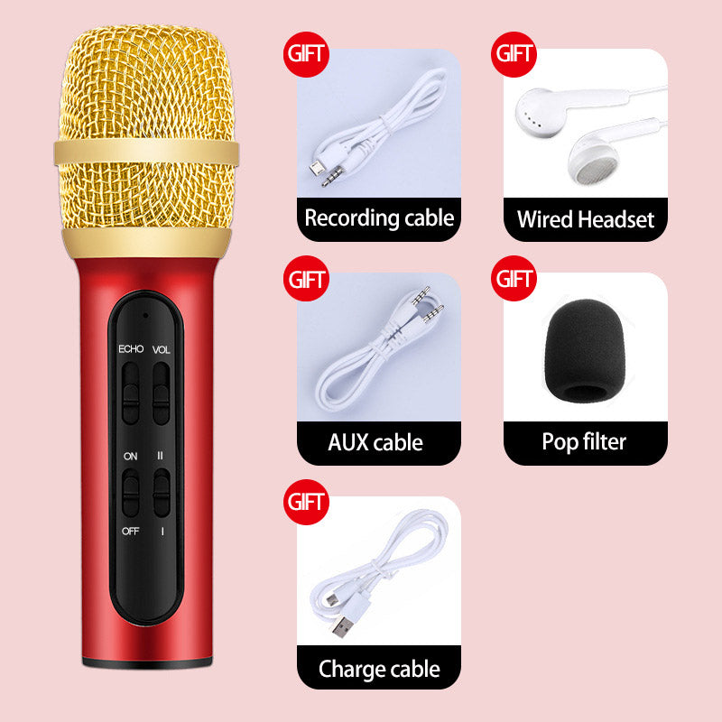 Karaoke Condenser Microphone Handheld Portable Recording Microphone Sing Live Wired Mic with ECHO Sound Card Compatible Phone, Computer for Party