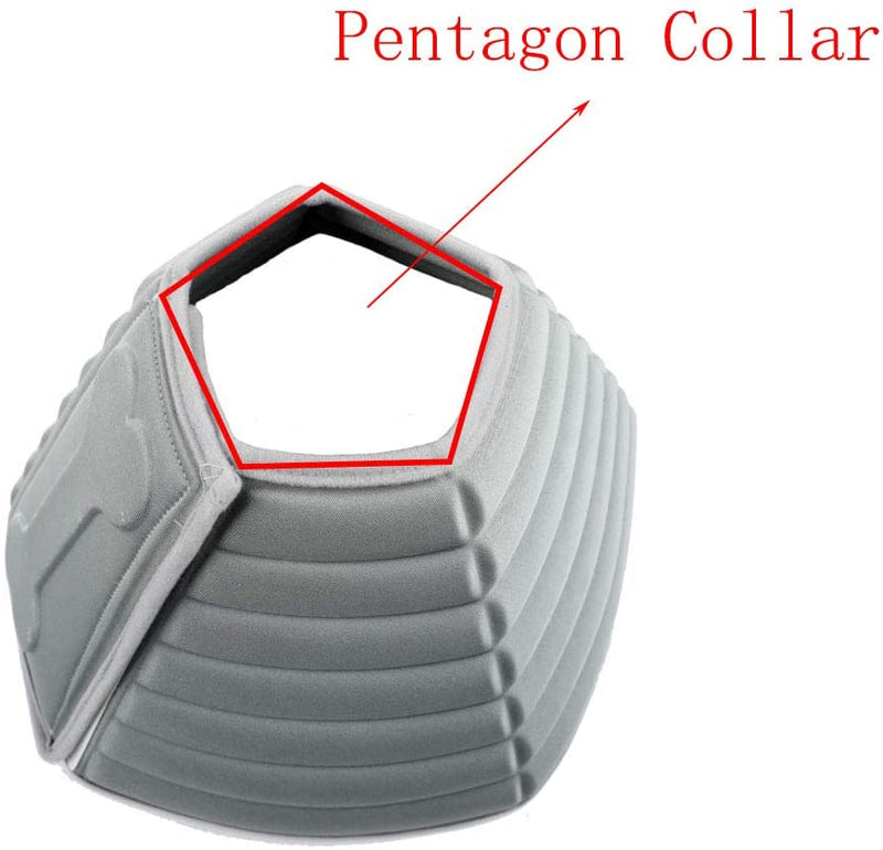 dog cone
