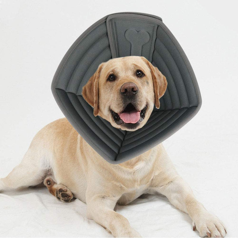 dog cone