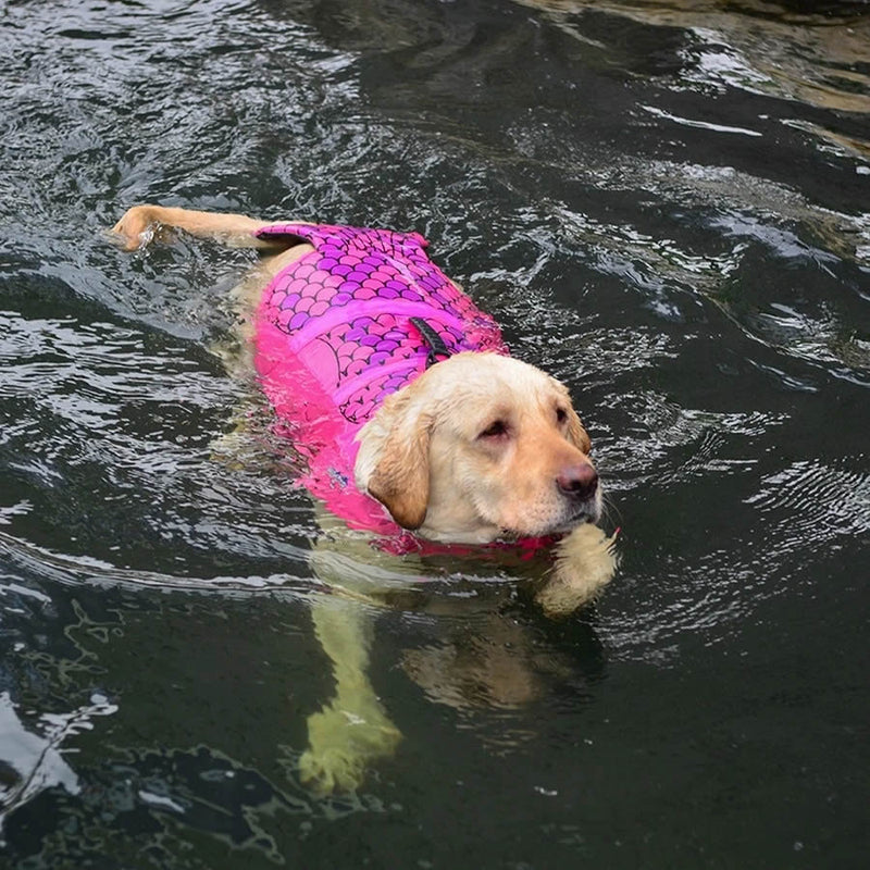 Dog Life Jacket